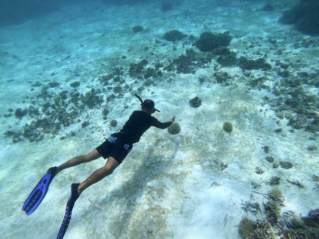 Komodo National Park 